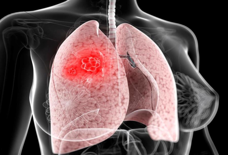 university of babylon  جامعة بابل