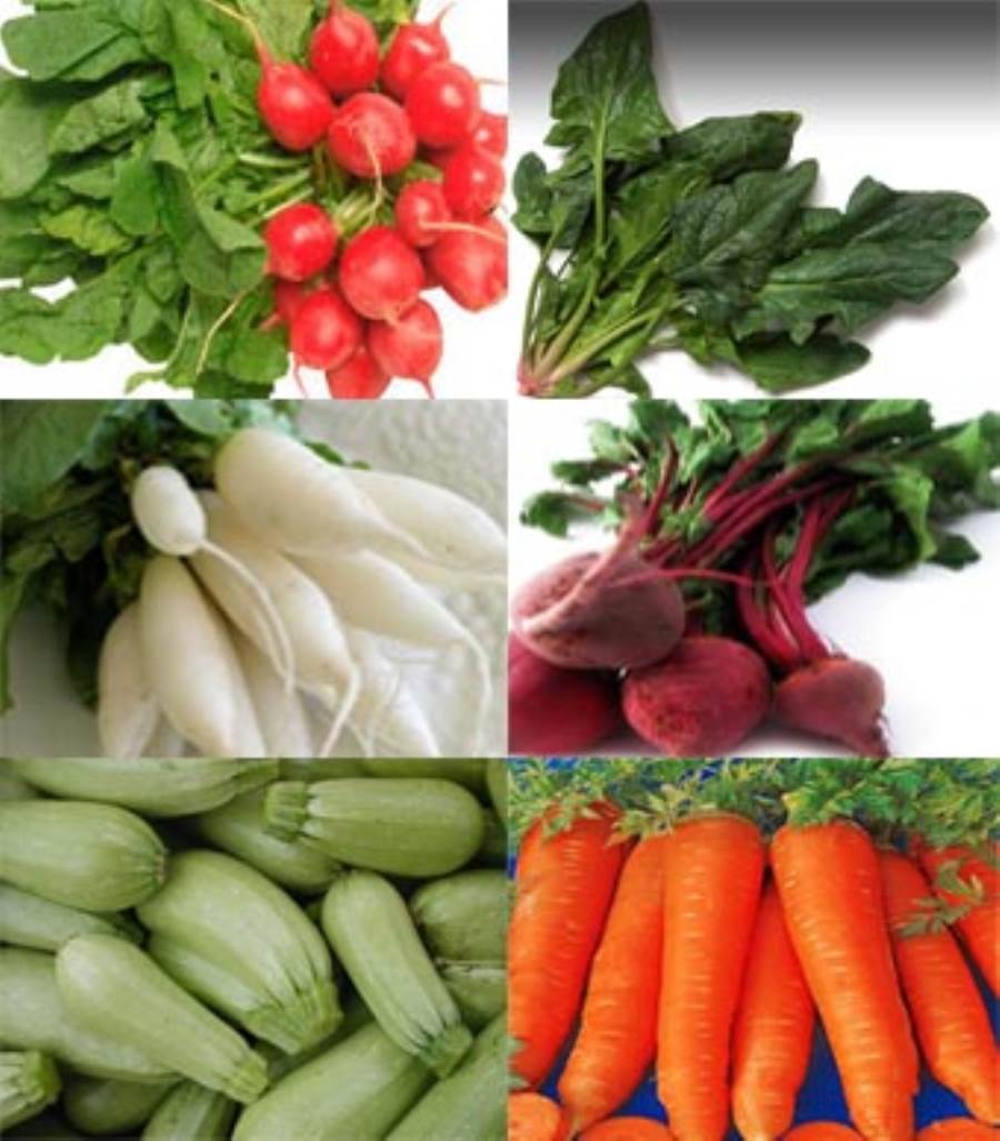 6 أنواع من الخضروات يمكنك زراعتها في حديقتك العضوية