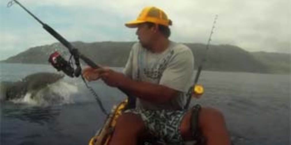 بالفيديو .. سمكة قرش تسرق سمكة من صياد