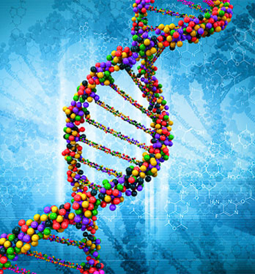  تجربة صينية لإعادة صياغة الجينوم البشري .. تثير الجدل حول أخلاقيات الهندسة الوراثية