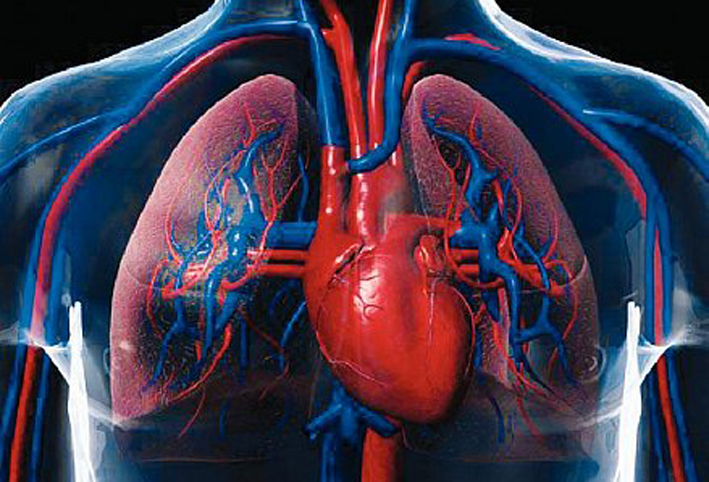 علماء يؤكدون إمكانية نقل القلب والرئتين من مصابى فيروس سى بعد تعافيهم