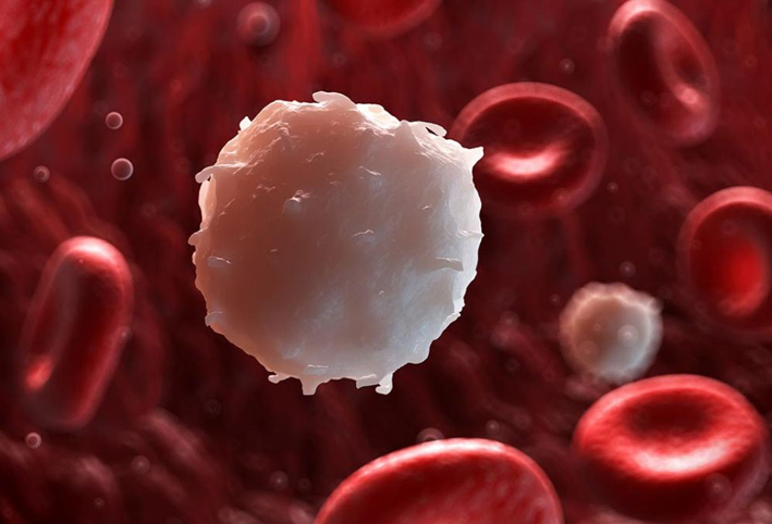العلماء يكتشفون بروتين يحفز الجهاز المناعى لمحاربة السرطان