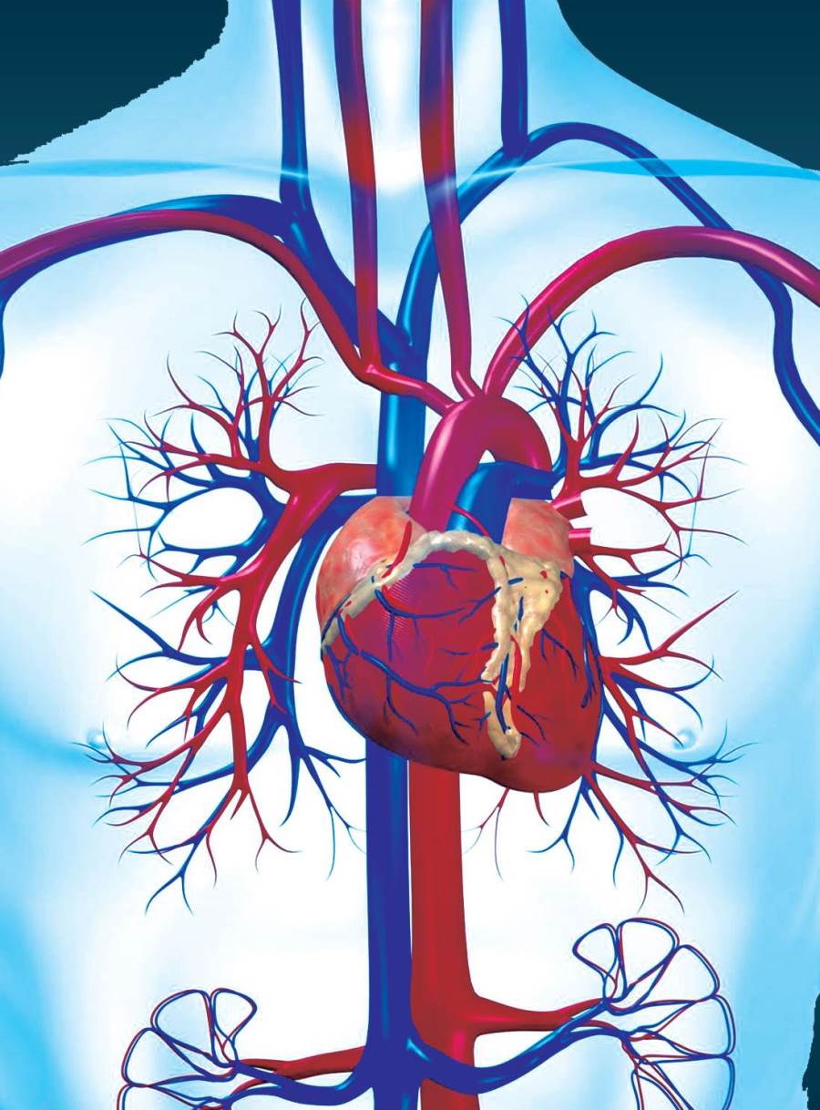 متى يتناول الإنسان الأسبرين للوقاية من أمراض شرايين القلب ؟