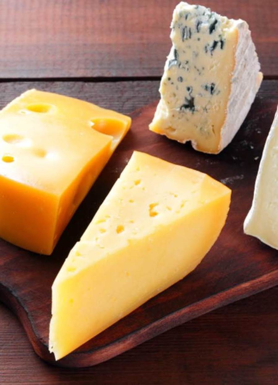 هل الفطريات الموجودة في الجبن ضارة؟