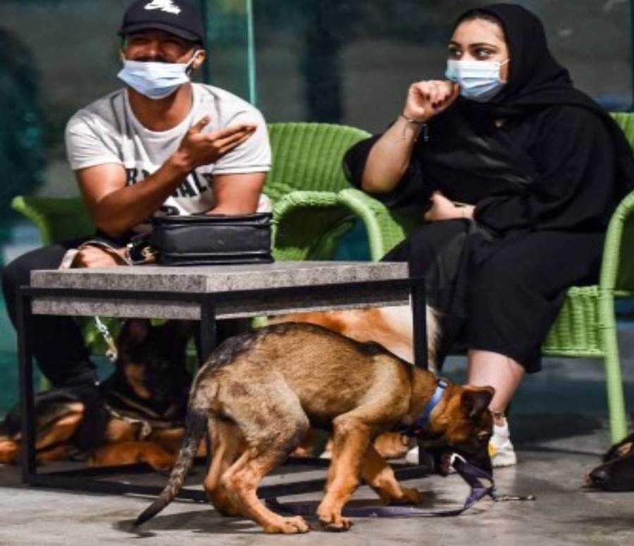  افتتاح أول مقهى لعشاق الكلاب بالسعودية