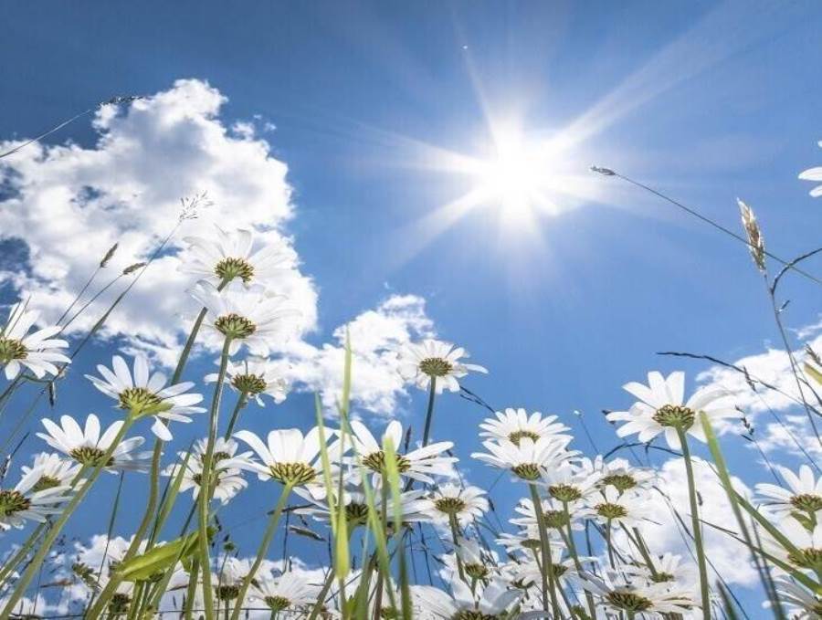 دراسة تكشف أهمية ضوء الشمس لتحسين الحالة المزاجية!