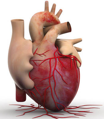 4 دروس يمكن استخلاصها بعد حدوث النوبة القلبية