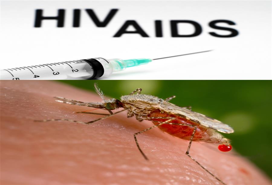 علاقة بين انتشار الملاريا والايدز