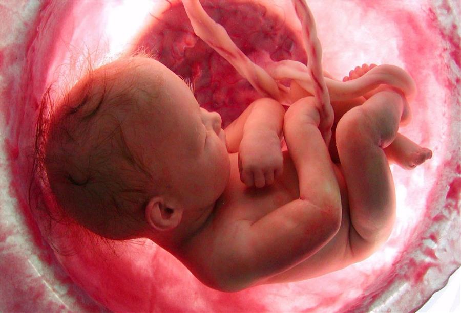 مساع "لتحديد سلامة الجنين داخل رحم الأم"