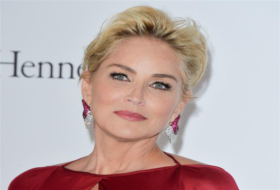 خلال مهرجان دبي السينمائي .. شارون ستون تترأس حملة مكافحة الأيدز 