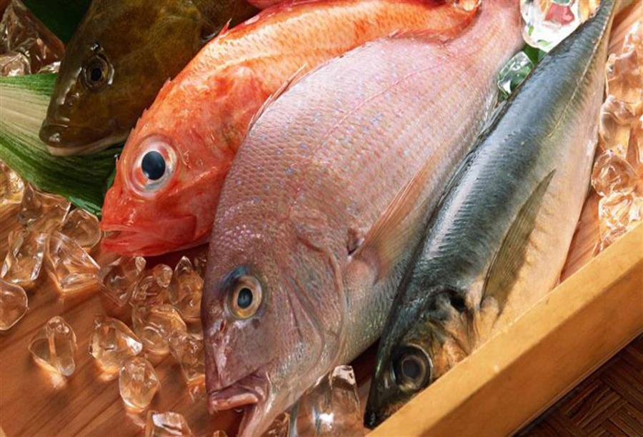 تحذير .. لحوم الأسماك النيئة قد تسبب سرطان الكبد