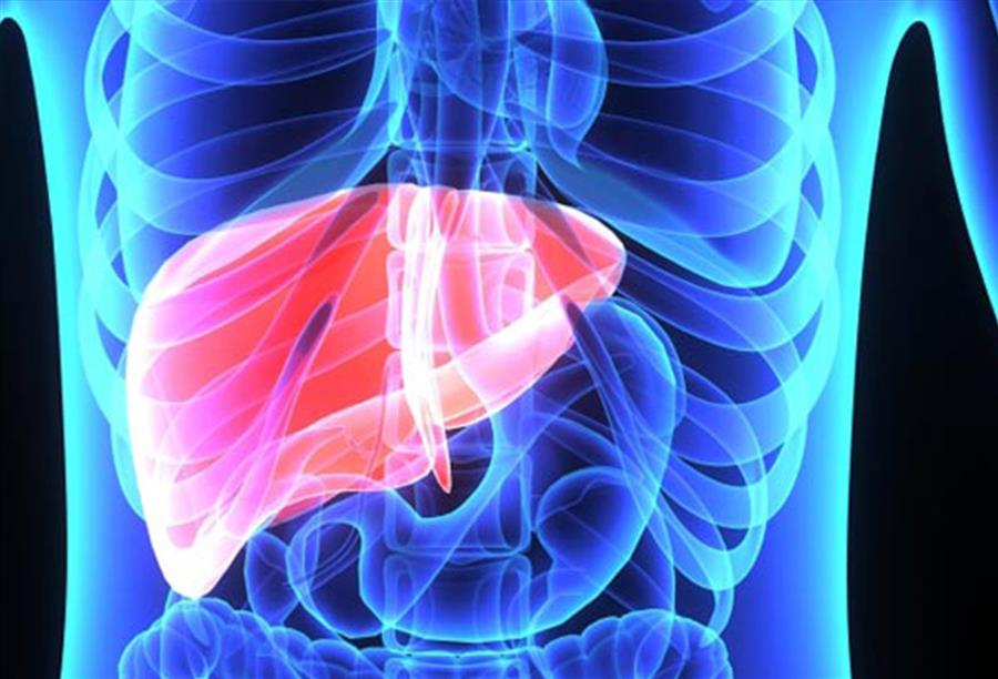 دراسة تظهر امكانية الشفاء من مرض تليّف الكبد