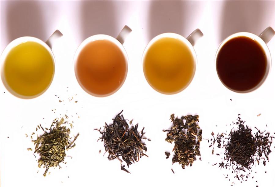 الدليل الكامل لأنواع وفوائد الشاي