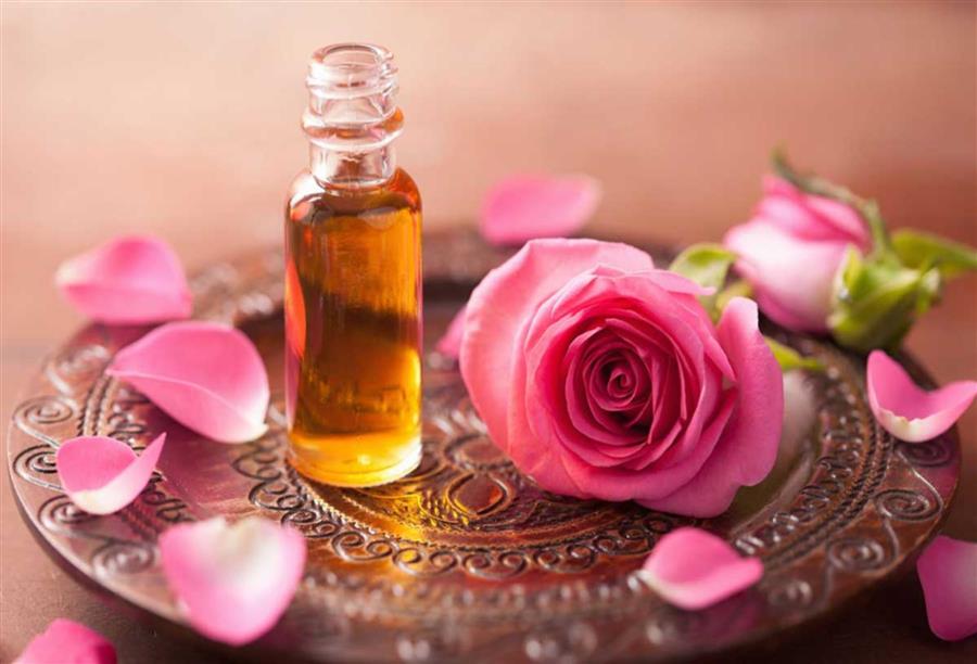 أسرار الصبا والنضارة .. في لب الورد وبين أوراقه