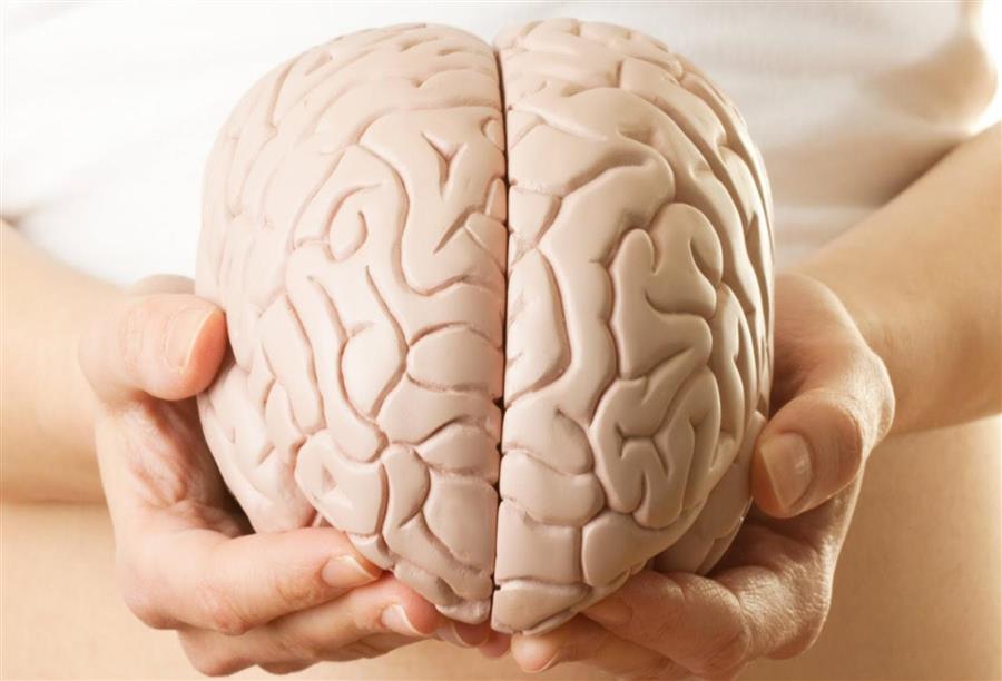 الدقائق الملوثة الصغيرة المتطايرة تؤدي الى اجهاد المخ
