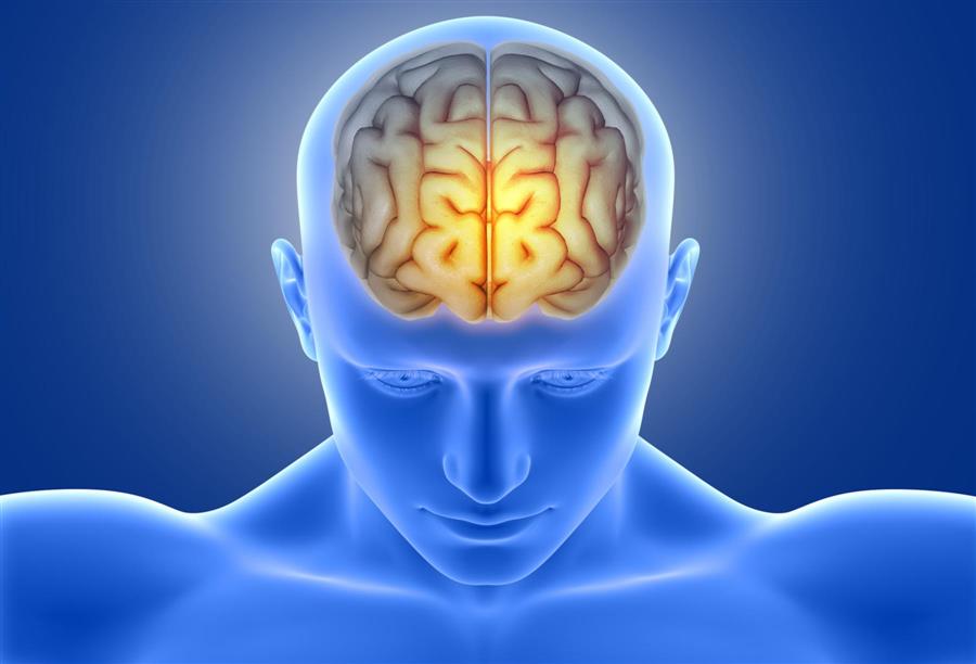 تحسين قوة البصرعن طريق تعديل  نشاط الدماغ