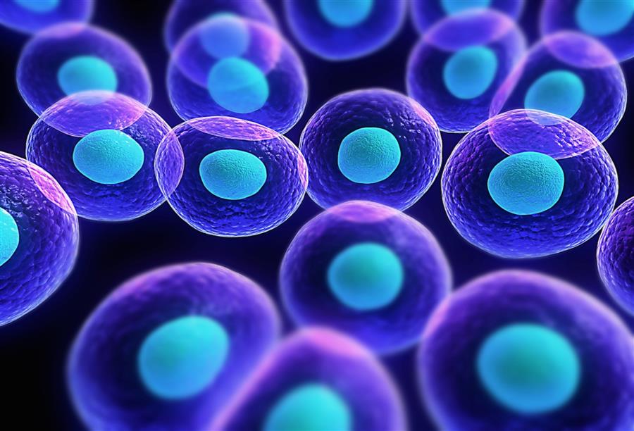 مجلات علمية متهمة بـ"حجب" نشر أبحاث الخلايا الجذعية 