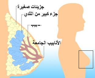 سرطان الثدي .. أشكاله متعددة وطرق علاج جيني متطورة لمواجهته