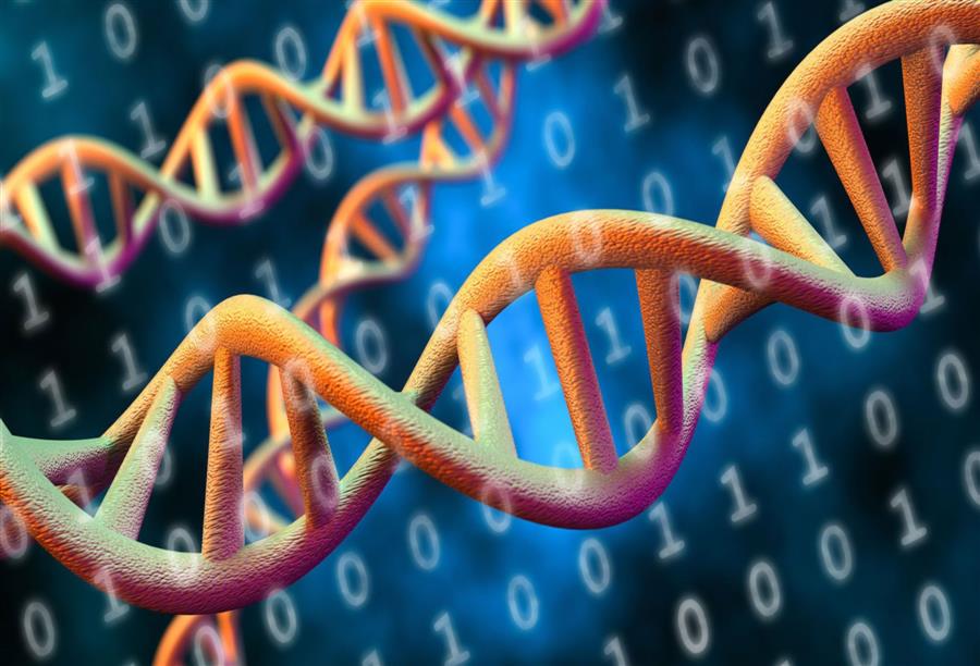 تبديل الجينات لمنع الإصابة بالأمراض الوراثية 