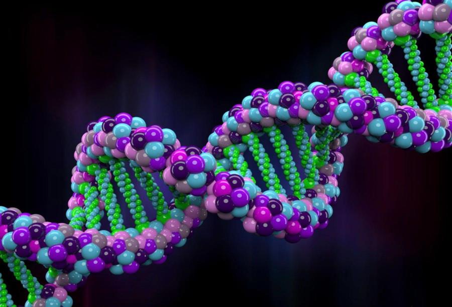 اختبار جيني جديد لـ 400 مرض وراثي