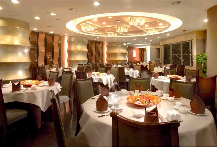 فيران أدريا .. صاحب أفضل مطعم في العالم يعود إلى الساحة بمؤسسة «إيل بولي»