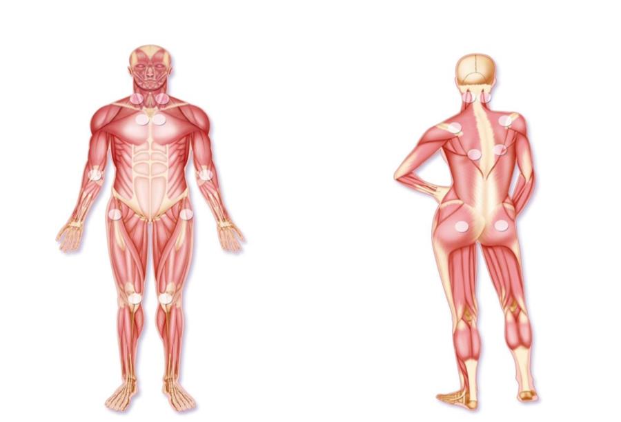حالتان التهابيتان تؤثران على أجزاء متفرقة من الجسم