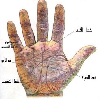 من باب العلم لا المحاكاة .. تعرف على تقاليد الآخرين في قراءة الكف