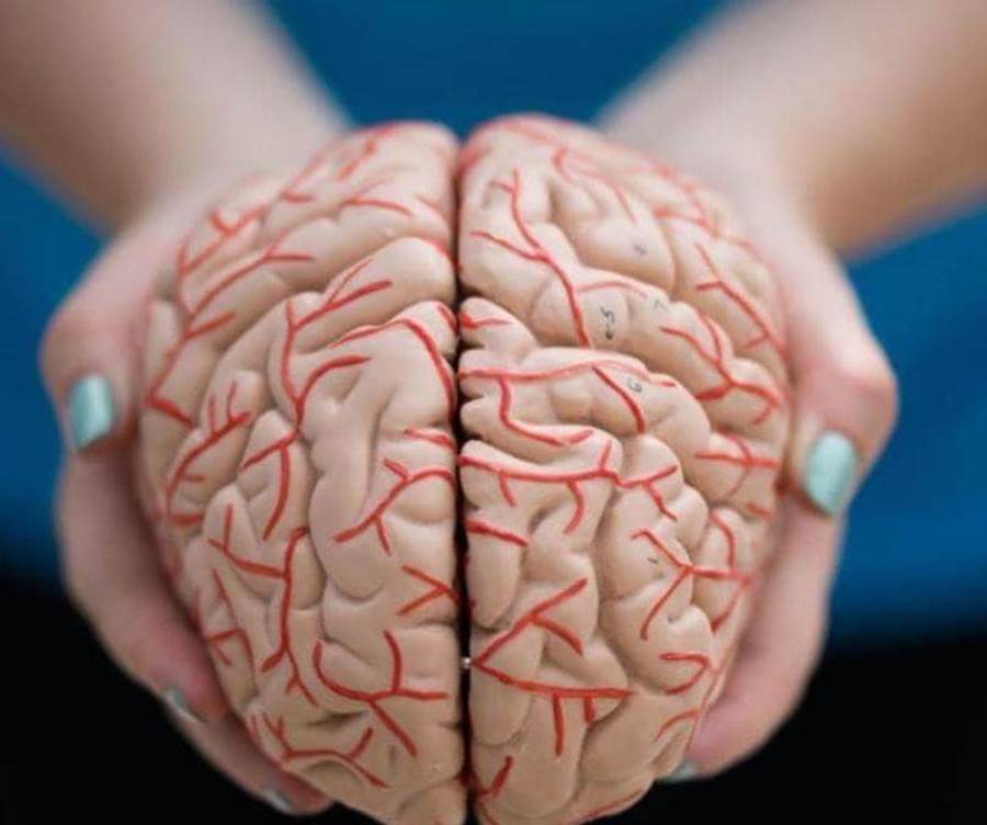 كيف يمكن لمخك التنبؤ بالمستقبل القريب؟