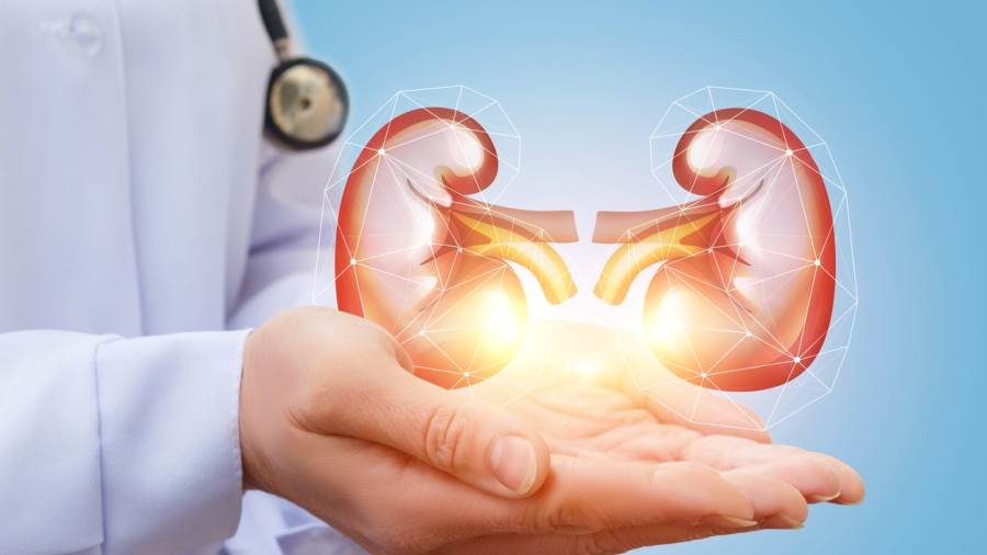عطاء واستفادة.. كلى من أجل الحياة .. شعار اليوم العالمي للكلى 2012