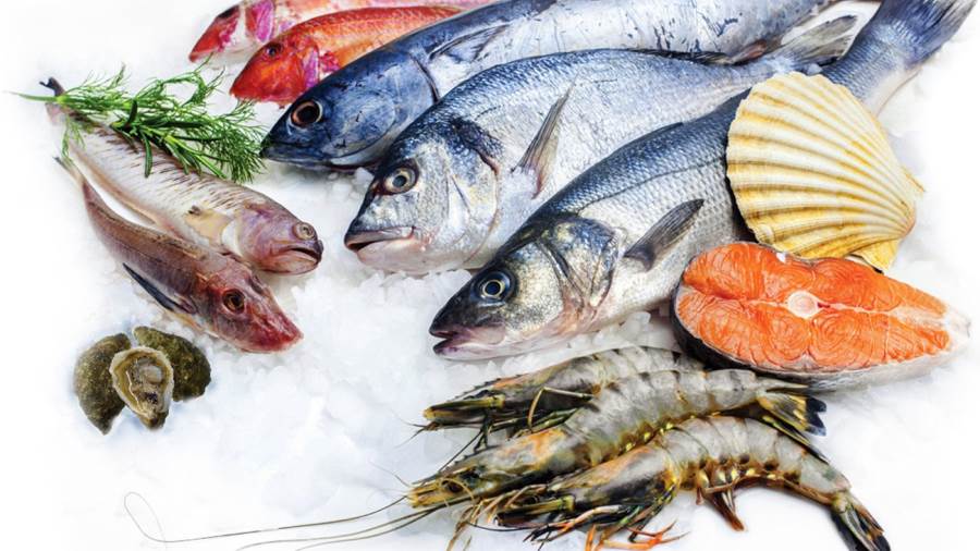 «ليلة رأس السنة بلاش سمك».. ارتفاع أسعار الأسماك مجددًا 