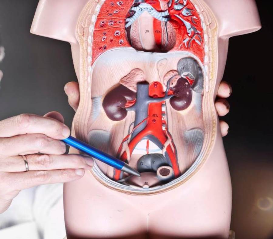 تحذي طبي:عقار جديد يرفع نسبة الإصابةبسرطان المثانة