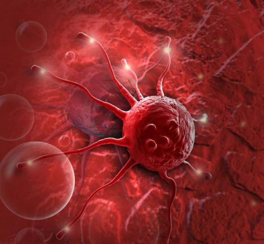 باحثون يابانيون يبتكرون خلايا "قاتلة للسرطان"