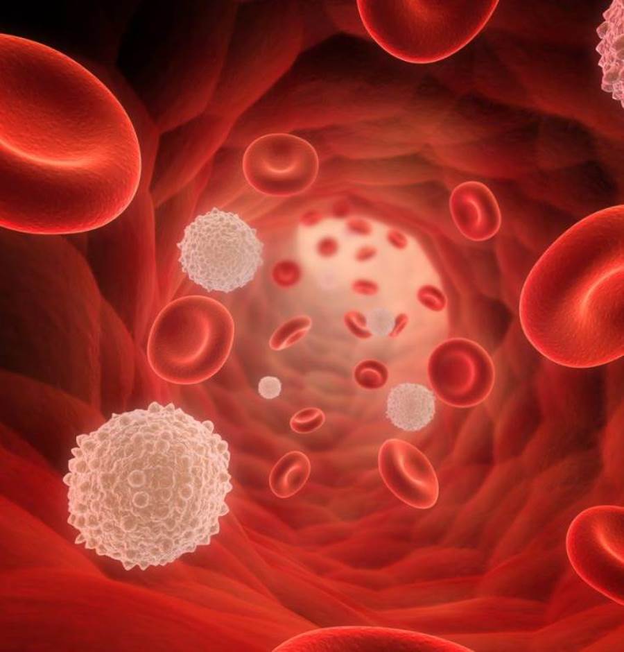 دراسة : الخلايا الليمفاوية قادرة على قتل الخلايا السرطانية بالجسم