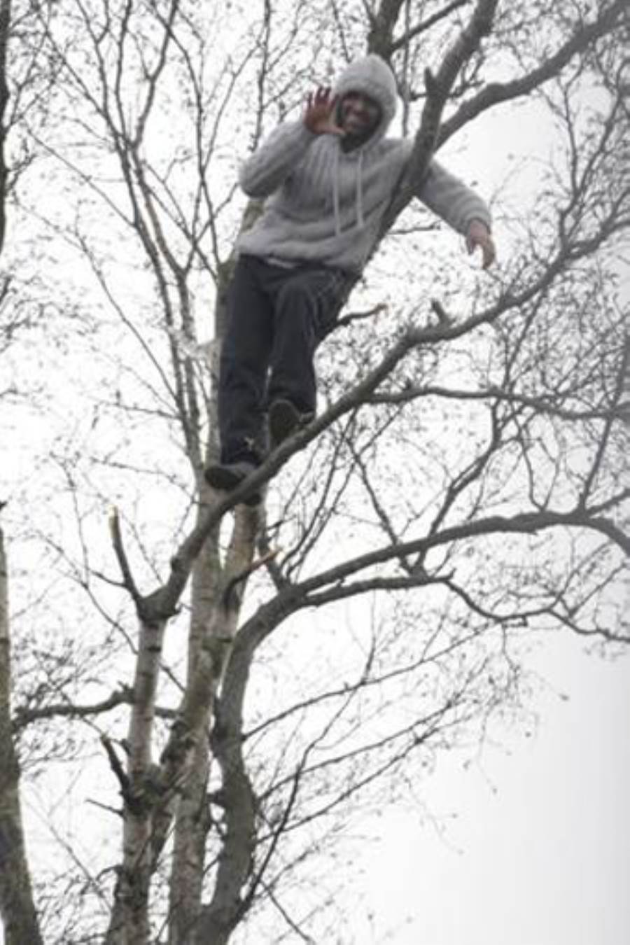 رجل يقضي 16 ساعة علي شجرة ليتجنب ترحيله من إنجلترا