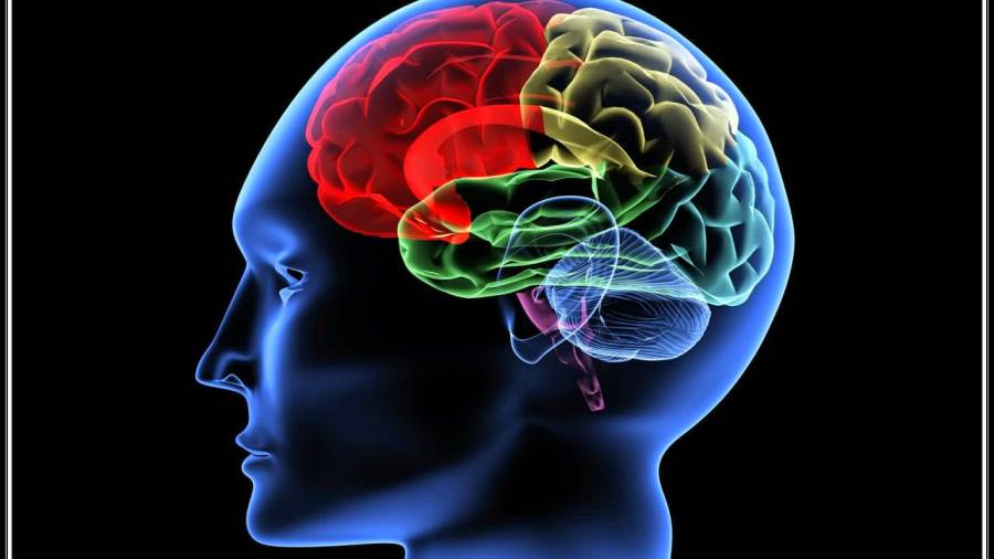 التقدم التكنولوجي سيسمح بـالخلود الفكري للإنسان وتجاوز الحاجة إلى جسده