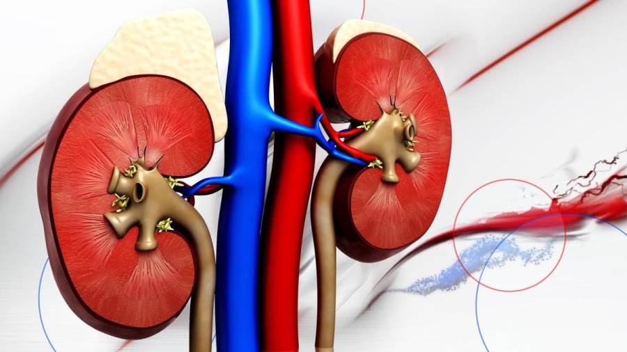 تعامل بحذر مع مشاكل القصور الكلوي