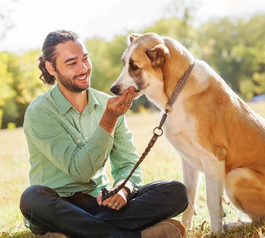 دراسة : الكلاب تستخدم تعبيرات خاصة للوجه للتعبير عن مشاعرها