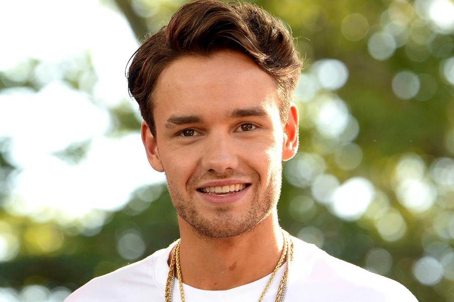 ليام باين عضو فريق One Direction الغنائي يحاول إنقاذ المعجبين من الثعابين