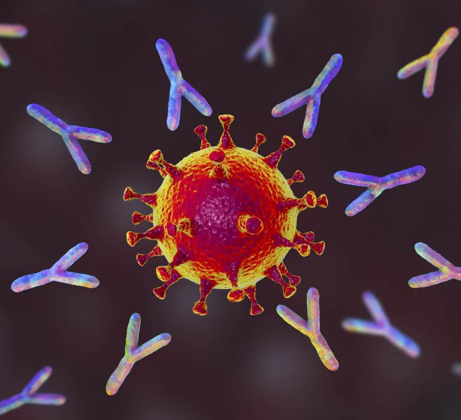 صورة ثلاثية الأبعاد لتغيير كروموزومات خلايا الجهاز المناعي