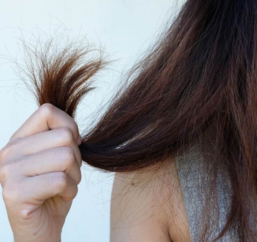 العناية بالشعر الجاف في خمس خطوات