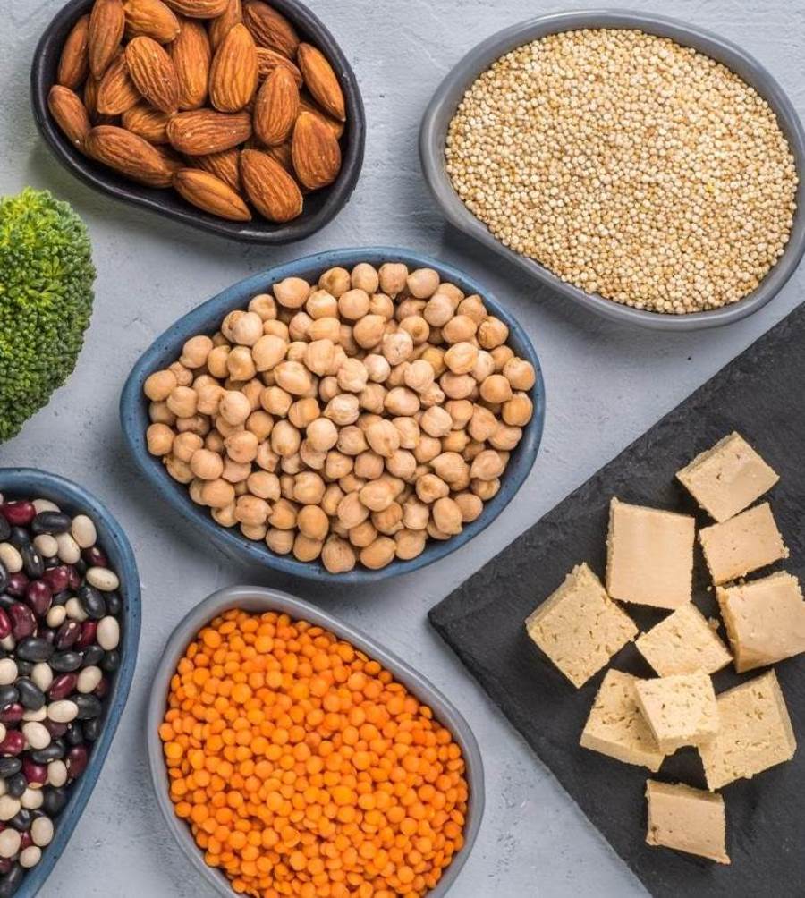 البروتين النباتي .. ما أهمية للجسم؟ 