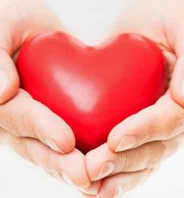 العثور على مفتاح الوقاية من أمراض القلب