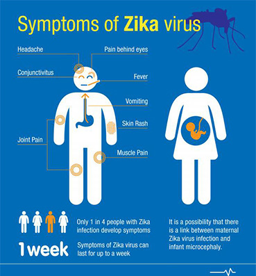 فيروس «زيكا» الخطير .. تطورات عالمية متلاحقة