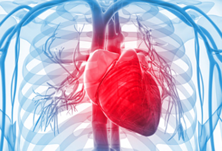 تطوير اختبار دم لتقييم الأضرار الناتجة عن النوبات القلبية