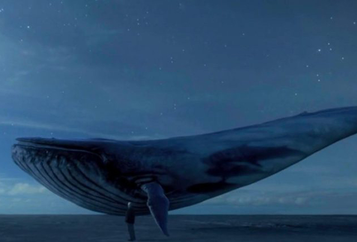"الحوت الأزرق" يصل مصر .. وانتحار نجل برلماني سابق وآخرين بسببه