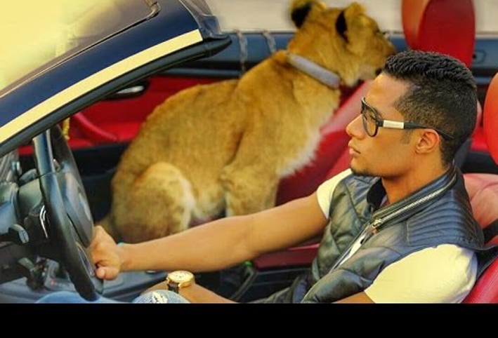 تعرف على ثروة وممتلكات الفنان محمد رمضان ومشوراه الفني