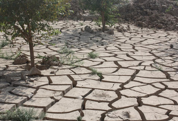 علماء يتنبأون بالمناطق الأكثر عرضة للجفاف الكارثي
