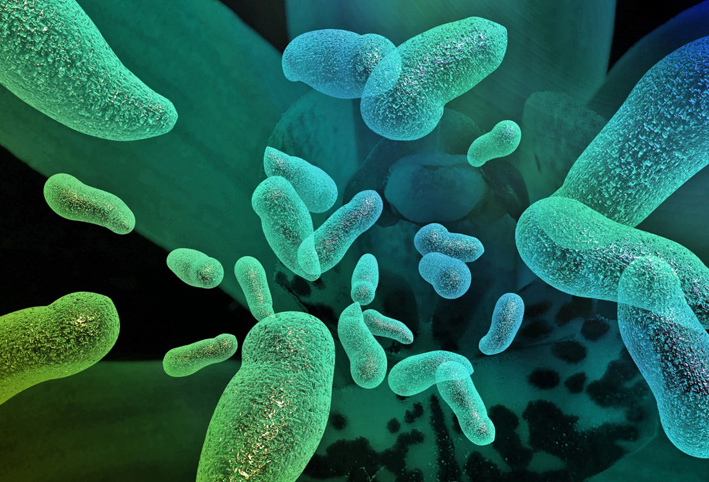 ما الفرق بين العدوى البكتيرية والعدوى الفيروسية؟