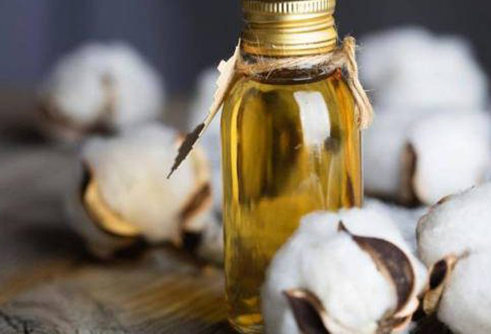 الفوائد الصحية لزيت بذرة القطن
