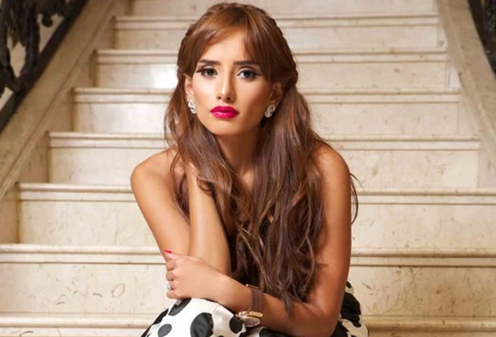 وتعود قضية زينة وشقيقتها المقامة في دبي إلى العام الماضي عندما وقع خلاف عنيف بينهما مع عائلة أميركية من أصل مصري